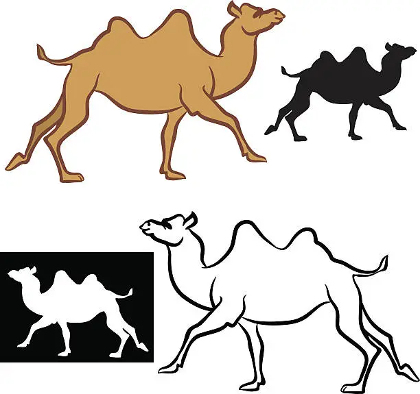 Vector illustration of Camel