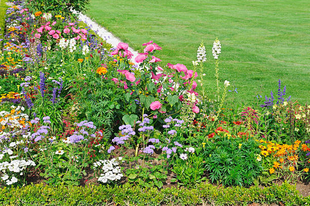 istock flower bed and green lawn 509239823