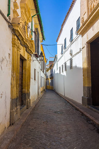 istock Typical nice clean city streets Cordoba, Spain 509245432