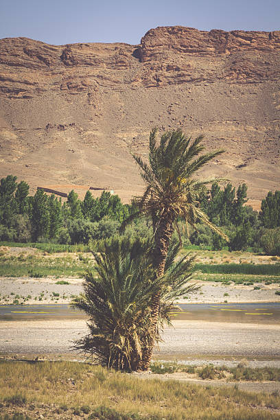 istock Wide view of canyon and cultivated fields and palms 509246604
