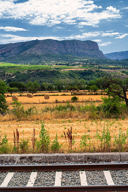 istock Landscape with railway in Catalunya 509249486