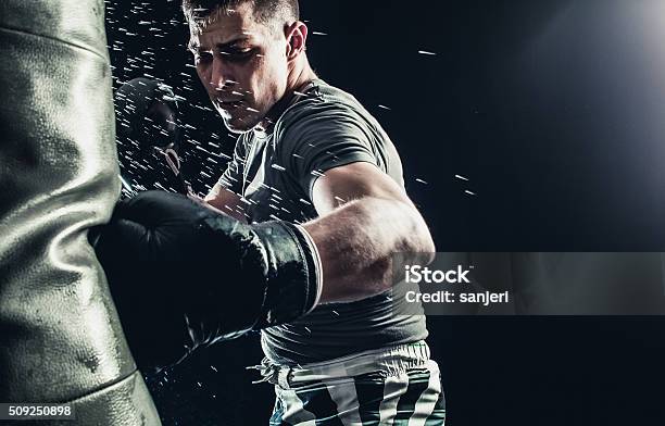 Foto de Potência De Boxe e mais fotos de stock de Boxe - Esporte - Boxe - Esporte, Homens, Treino esportivo