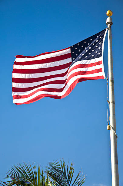 istock American Flag On Pole Against  Blue Tropical Sky And Palm 509251755