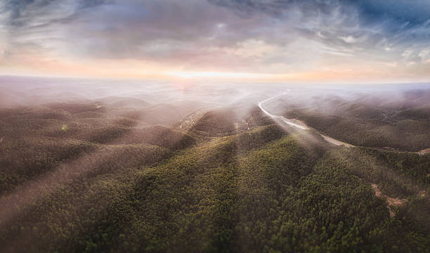 Alba a temperatura ambiente - foto stock