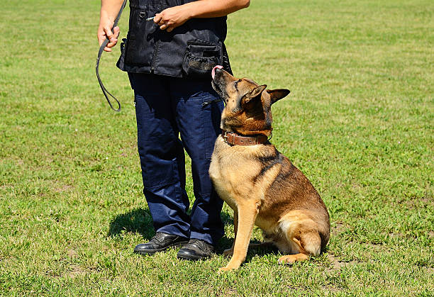 istock K9 police officer with his dog 509253155