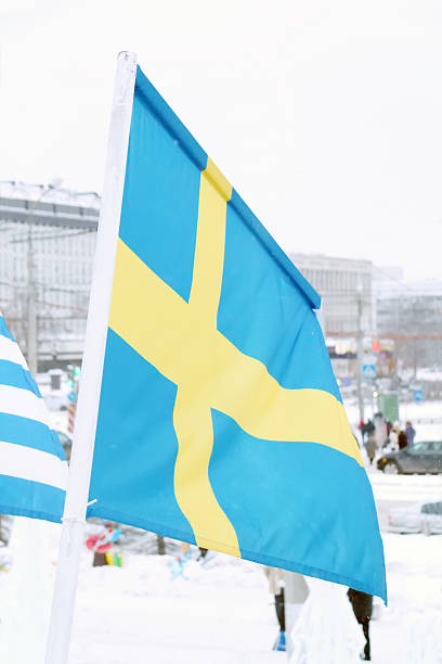 istock Flag of Sweden on wind at winter cloudy day 509253390