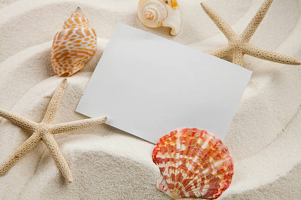 istock Blank paper and starfish and and shells on sand 509254102