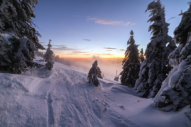 istock Winter landscape. Sunrise in the mountains. 509255042