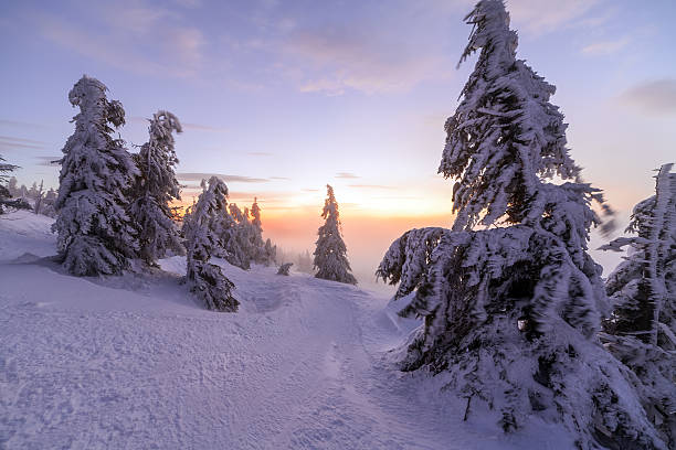 istock Winter landscape. Sunrise in the mountains. 509255328