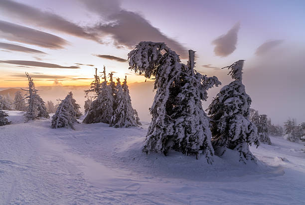 istock Winter landscape. Sunrise in the mountains. 509255554