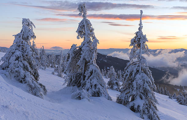 istock Winter landscape. Sunrise in the mountains. 509256042