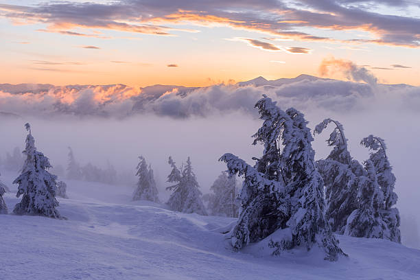 istock Winter landscape. Sunrise in the mountains. 509256360