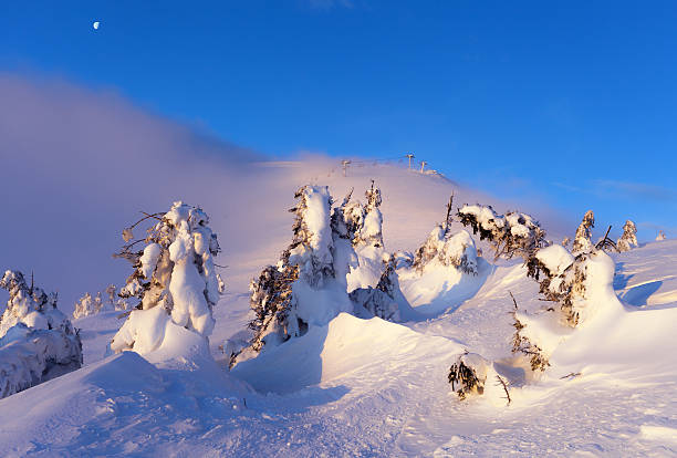 istock Winter landscape. Sunrise in the mountains. 509256456