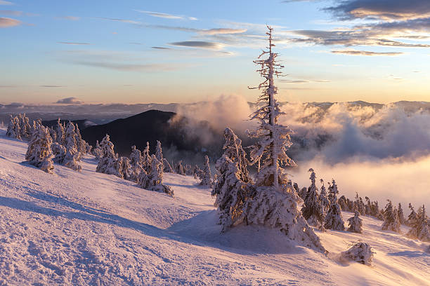 istock Winter landscape. Sunrise in the mountains. 509256584