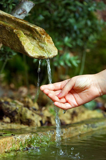 istock Water of life 509258773