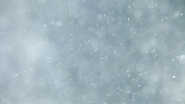 Snowstorm with Blurry Forest Background