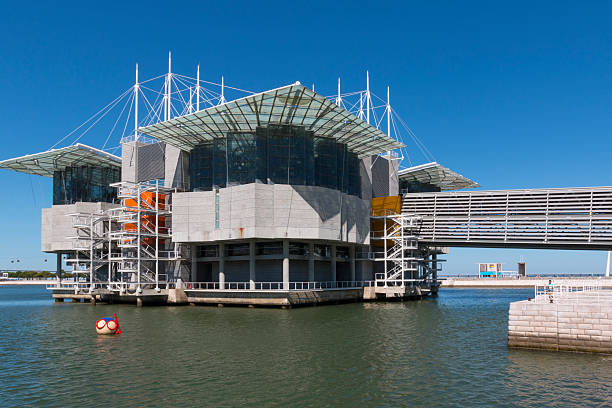 Lisbon, Portugal - August 07, 2014: Lisbon Oceanarium, the second largest oceanarium in the world and the biggest in Europe. Parque das Nacoes