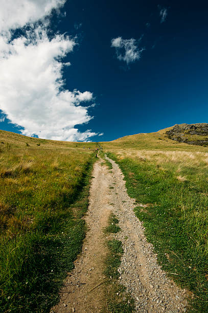 istock Mount John, New Zealand 509276295
