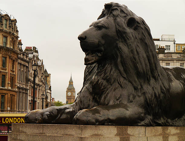 istock Trafalgar Square Lion w Big Ben London 509276619