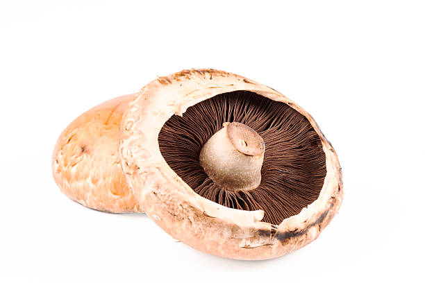 istock Portabello mushrooms 509276655