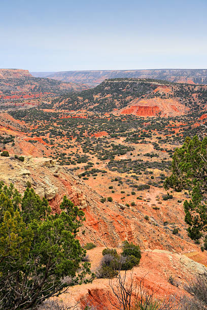 istock Palo Duro Canyon, Texas 509276887