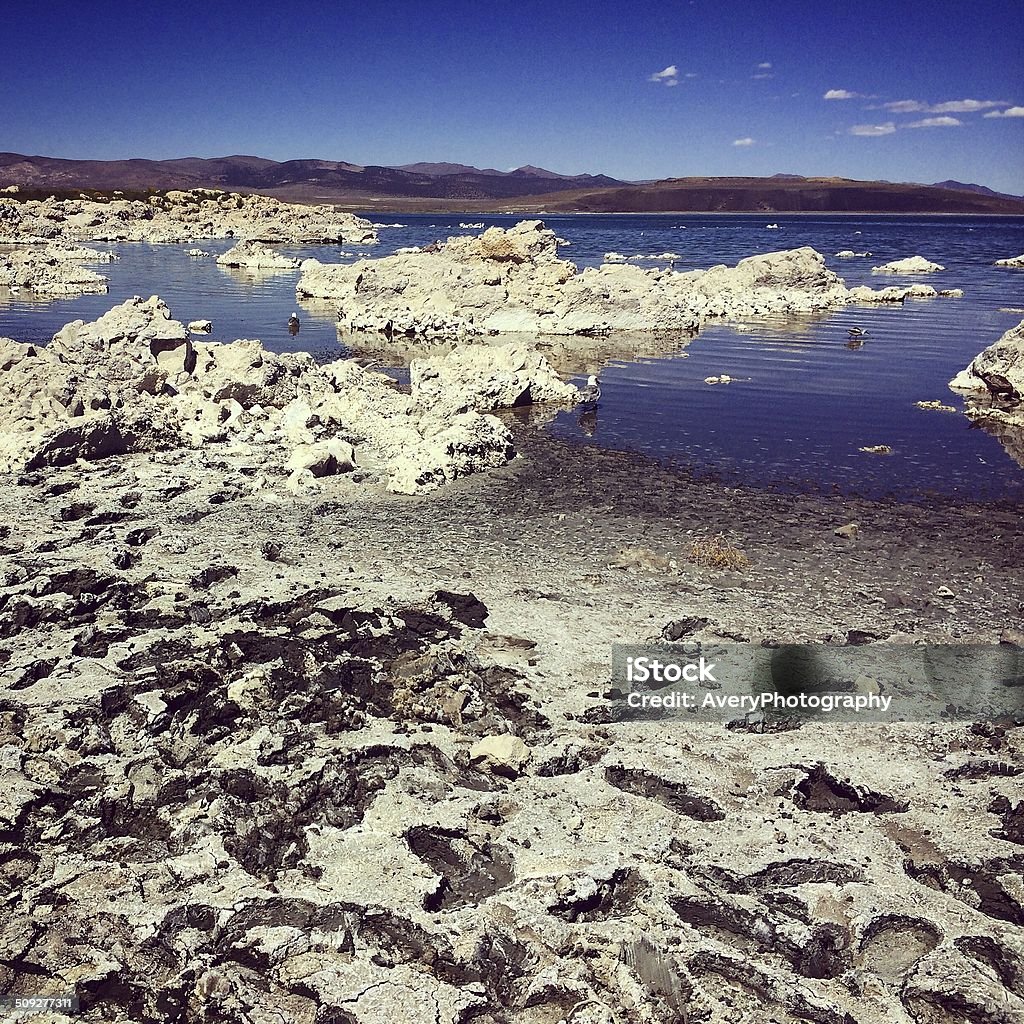 Mono Lake The shore of Mono Lake, and looking into the distance, with mud and tufa in the foreground.  Taken with an iPhone and processed in Instagram. Beach Stock Photo