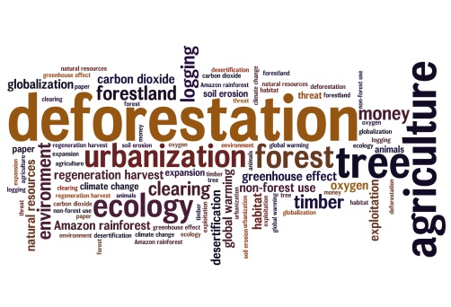 Deforestation issues and concepts word cloud illustration. Word collage concept.
