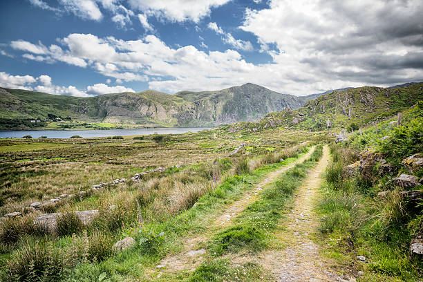 istock Ring of Kerry Landscape 509287466