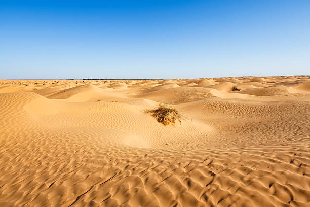 deserto del sahara vicino ksar ghilane oasi nel sud della tunisia - great sand sea foto e immagini stock