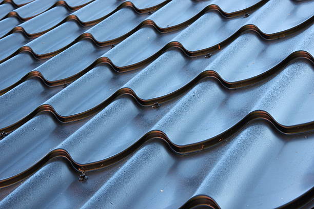 istock Perspective of curved black metal roof 509289217