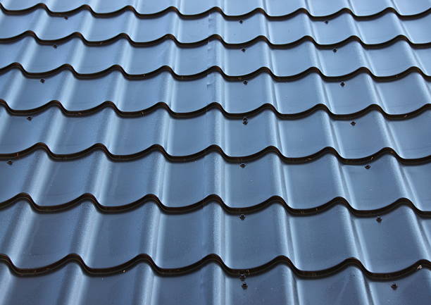istock Curved black metal roof with wave design 509289225