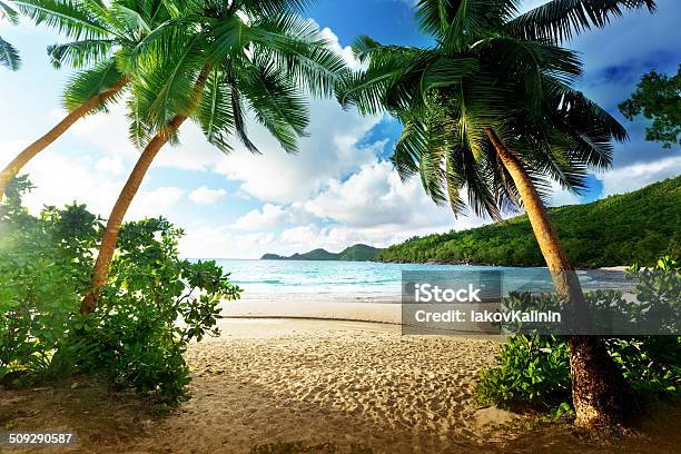 Sunset On Beach Mahe Island Seychelles Stock Photo - Download Image Now - Beach, Tropical Climate, Tropical Rainforest