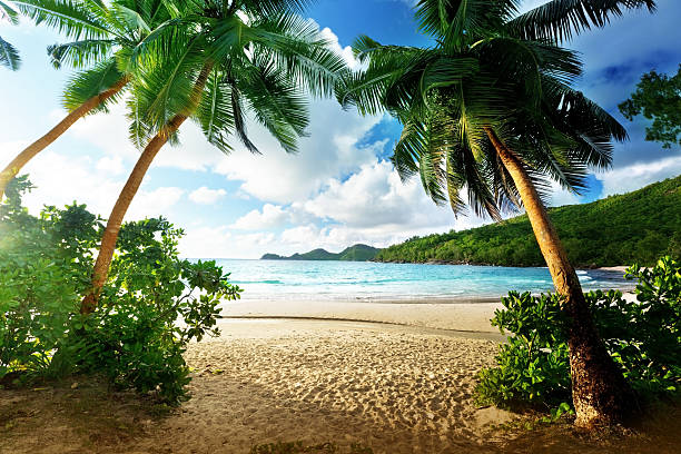 zachód słońca na plaży, mahé, seszele wyspy - seychelles sea lagoon tropical climate zdjęcia i obrazy z banku zdjęć
