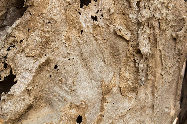 istock Wood is vulnerable to erosion. 509292304
