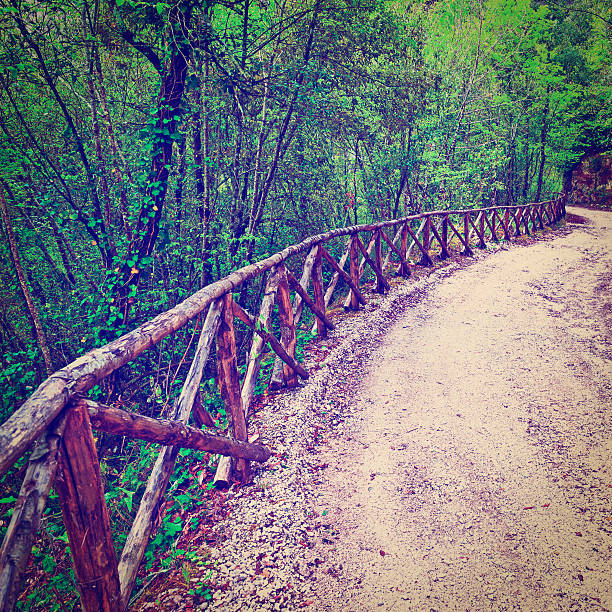 clôture en bois - footpath european alps fence woods photos et images de collection