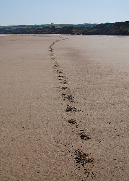 istock Hoof prints in the sand 509294101