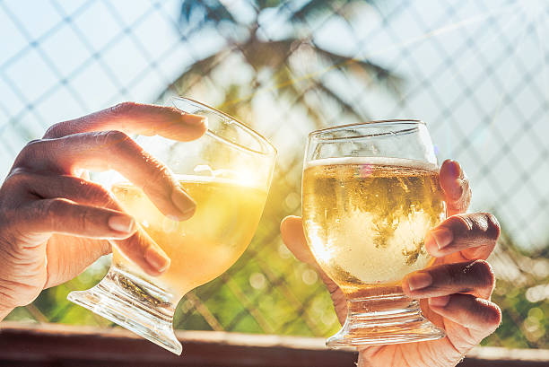 istock two hands clinking beer glasses in tropic sun light 509295044