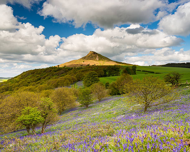 istock Roseberry Topping & Bluebells 509295204