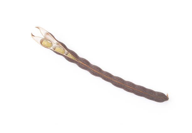 istock Mung bean seed pod isolated on the white background 509295215