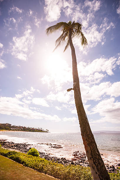 istock Wailea beach, Hawaii, USA 509295470