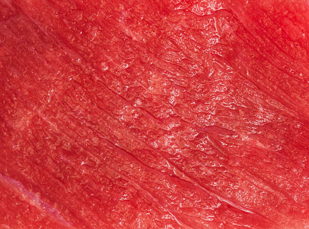 istock close up of beef steak texture 509296182