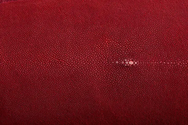 Stingray exotic fish skin, leather, hide in red color