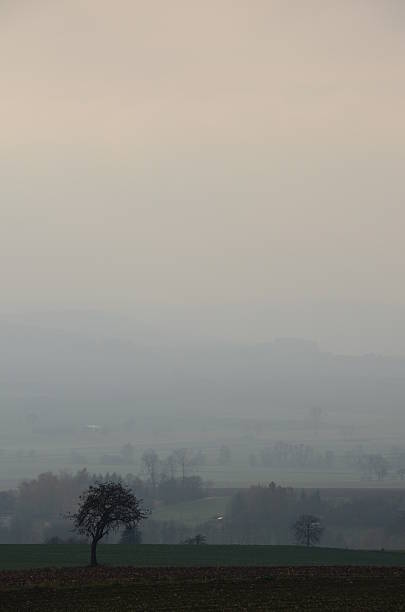 istock Landscape in the fog 509299842