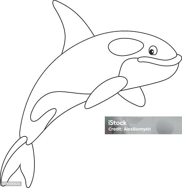 Killer Whale Stock Illustration - Download Image Now - Animal, Animal Wildlife, Aquatic Mammal