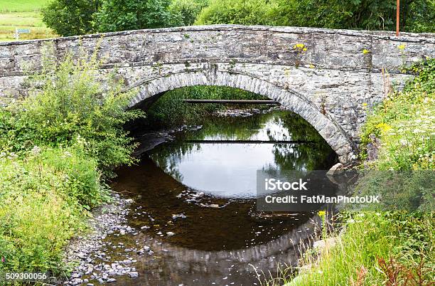 Old Bridge Pentrefoelas Conwy County Stock Photo - Download Image Now - Ancient, Animal Hump, Blue