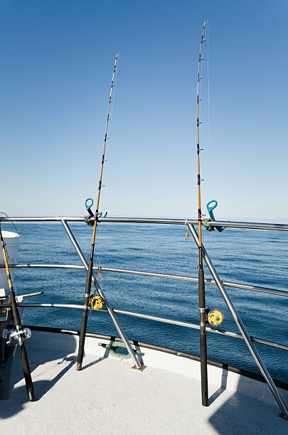 istock Fishing rods on the boat 509300862