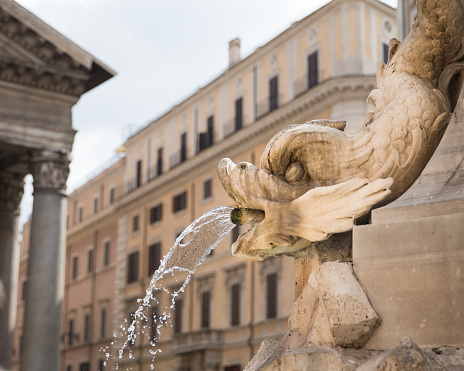 Roman water fountain sculpted in the shape of a fish.  Selective focus on fountain and water.  A corner of the Pantheon is seen in the background.  Located in Piazza della Rotonda, Rome, Italy.