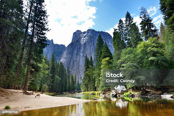 Yosemite National Park Stock Photo - Download Image Now - Yosemite National Park, Yosemite Falls, California