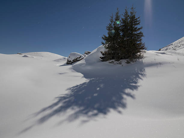 sombras de coníferas em lua cheia - light effect full moon mountain peak european alps imagens e fotografias de stock