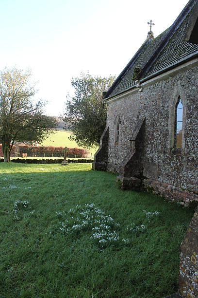 istock snowdrops in the churchyard 509308298
